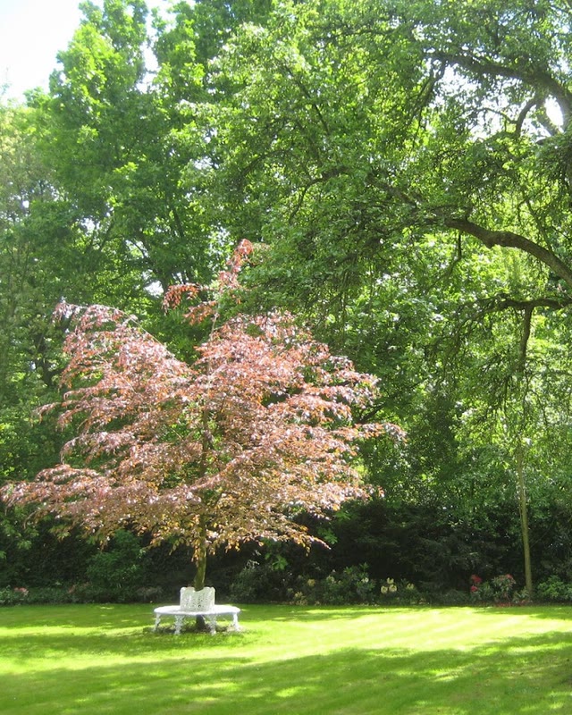 De tuin achter het pand aan het Koningin Emmaplein, met een roze bloeiende boom