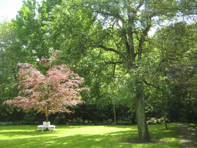 De groene tuin aan het Koningin Emmaplein